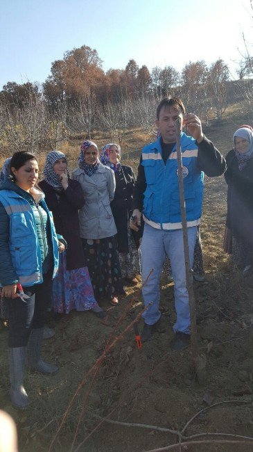 Hem Kursu Gördüler Hem De Para Aldılar