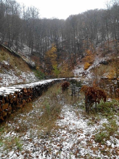 Balıkesir’e Yılın İlk Karı Düştü