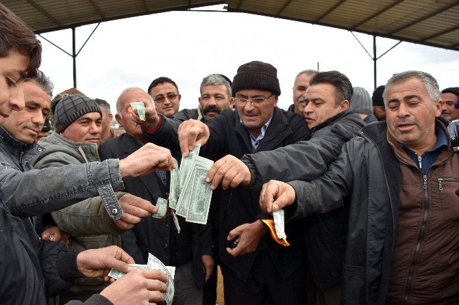 Besiciler Dolarları Ateşe Verdi