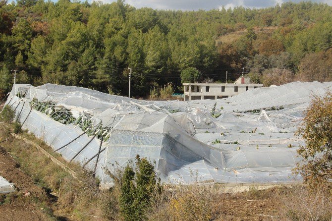 Hortum, Muz Seralarını Vurdu