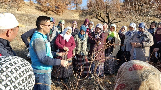 Hem Kursu Gördüler Hem De Para Aldılar