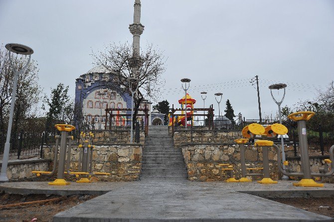 Altınordu’da Yeşil Alan Ve Park Çalışmaları