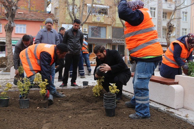 Sındırgı’da Meydanlar Çiçek Açtı