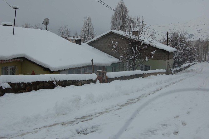 Bitlis’te Yarım Metreye Kar Yağdı