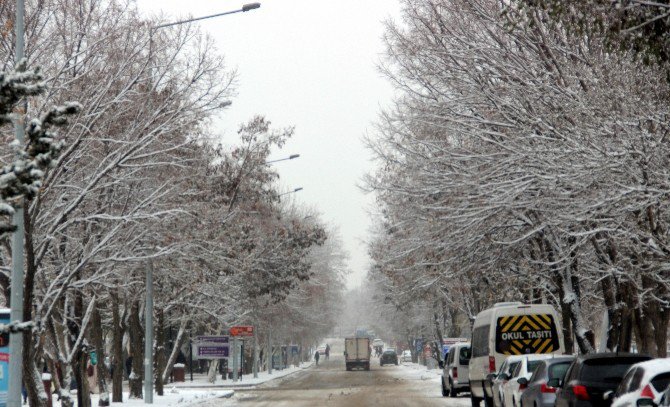 Erzurum’da Karla Mücadele Başladı