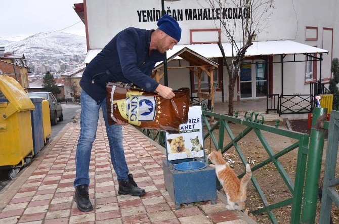 Bozüyük Belediyesi Sokak Hayvanlarının Aç Ve Susuz Kalmalarına Engel Oluyor