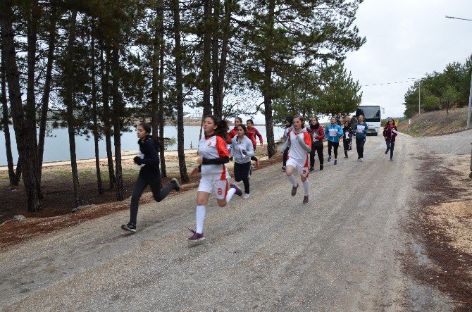 Bilecik’te Okullar Arası Kros Müsabakaları Sona Erdi