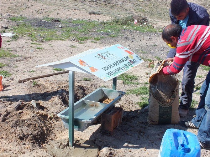 Niğde Belediyesi Sokak Hayvanlarını Unutmadı