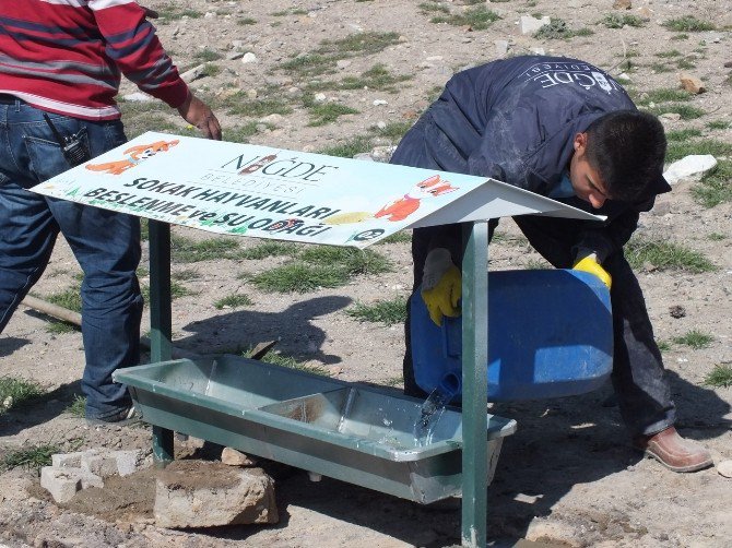 Niğde Belediyesi Sokak Hayvanlarını Unutmadı