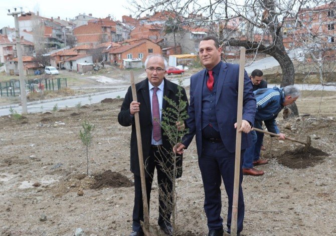 Tavşanlı’da 15 Temmuz Hatıra Ormanı Oluşturuldu