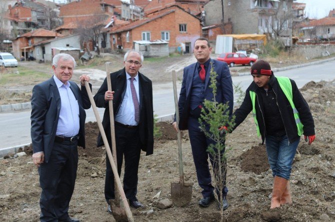 Tavşanlı’da 15 Temmuz Hatıra Ormanı Oluşturuldu