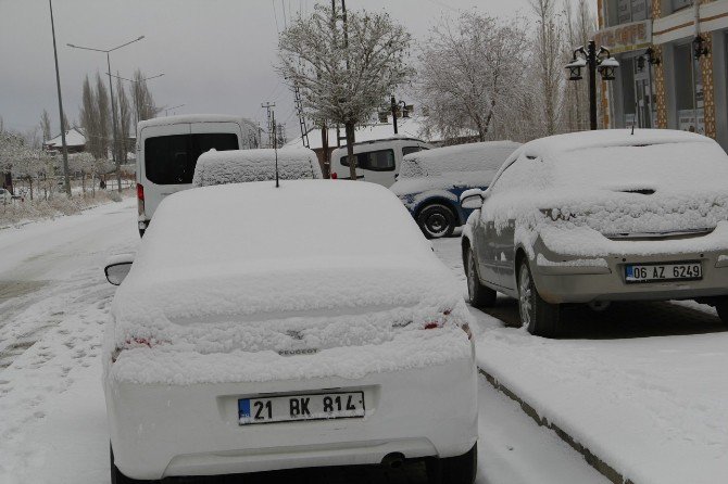 Başkale’de Kar Yağışı