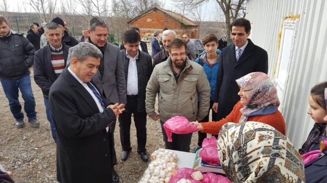 Genç Çiftçi İlk Hasadını Gerçekleştirdi