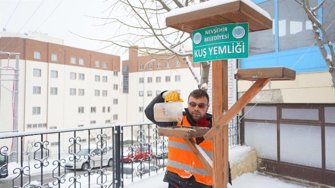 Nevşehir’de Kuşlar Aç Kalmayacak