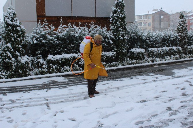 Niğde Belediyesi Kara Solüsyonlamayla Müdahale Ediyor