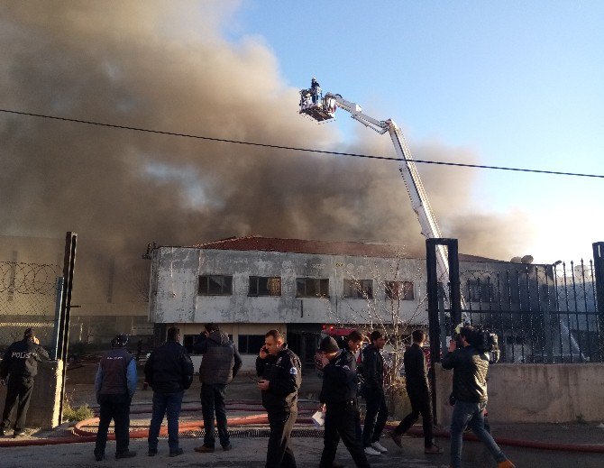 Tuzla’da Sünger Fabrikasında Yangın Çıktı