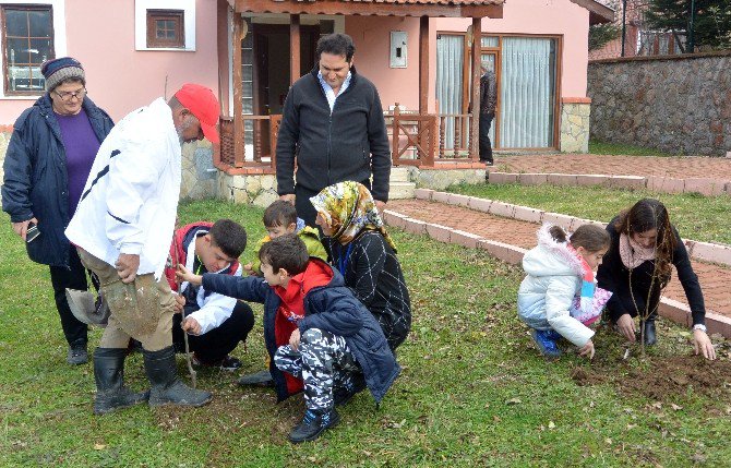 Engelliler Göbek Attı, Fidan Dikti