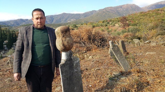 Çalılık Alan Temizlendiğinde Gözlerine İnanamadılar