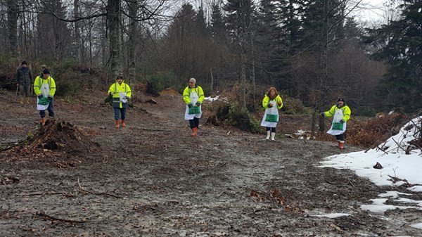 Ormanlarda Gençleştirme Çalışması Sapanca İle Son Buldu