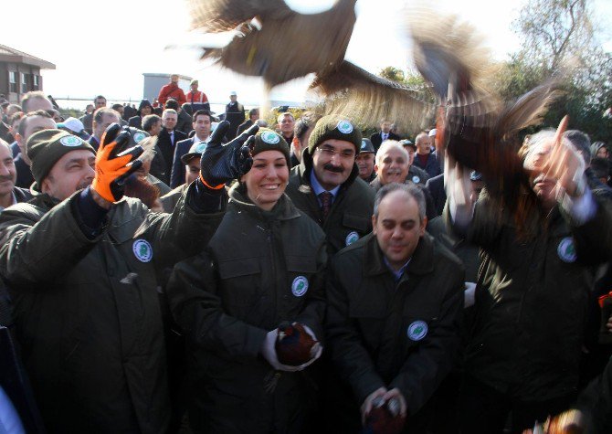 Bakan Eroğlu Ve Kılıç 200 Sülünü Doğaya Saldı