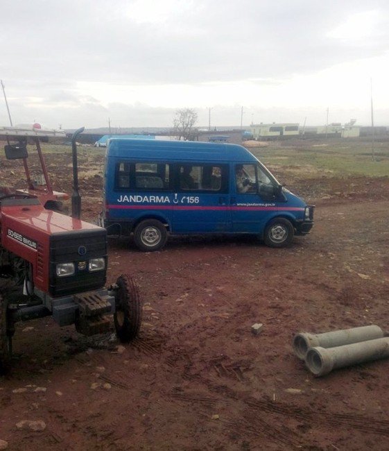 Elektrik Akımına Kapılan Koyunlar Telef Oldu