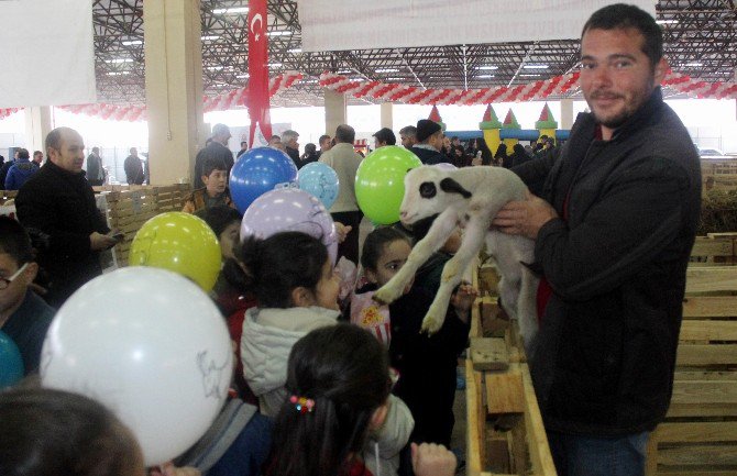 Küpesini Gören Çoban Olduğuna İnanmıyor