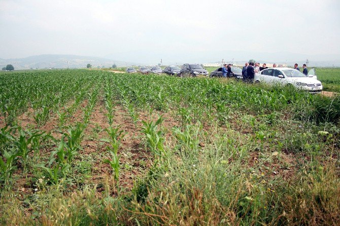 Yenişehir Belediyesi’nden Test Merkezine Ücretsiz 197 Dönüm Arazi