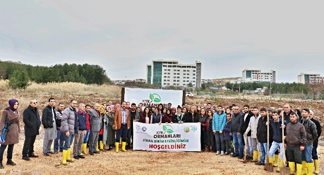 Gençlik Ve Spor Bakanlığı’ndan 5 Yılda 1 Milyon Fidan