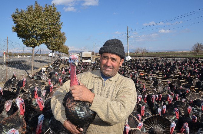 Yılbaşı Hindisi Kahramanmaraş’tan