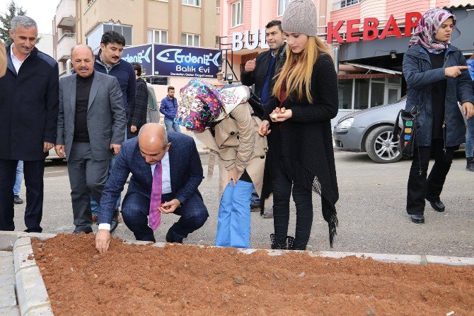 Belediye Başkanı Kara Öğrencilerle Lale Dikti