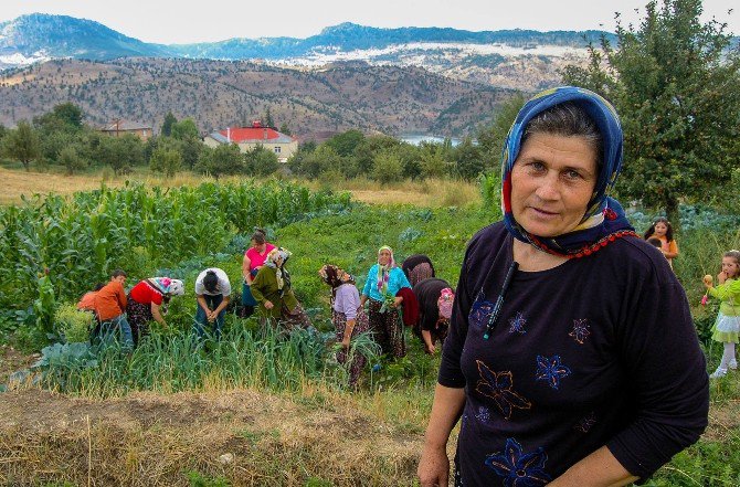 Ümmiye Koçak İnovasyon Haftası’nda Konuk Olacak