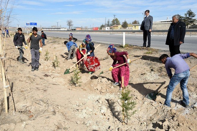 10 Yılda 2 Buçuk Milyon Fidan Toprakla Buluştu