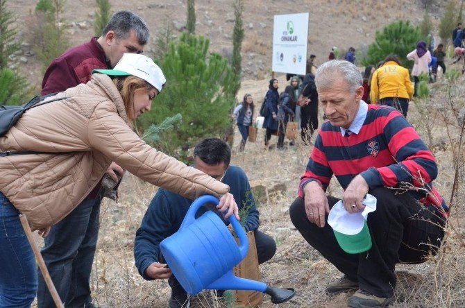 Aydın Kyk Ormanları Yeşeriyor