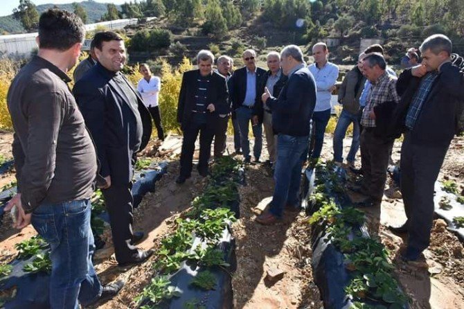 İnegöl Belediye Başkanı Alinur Aktaş: