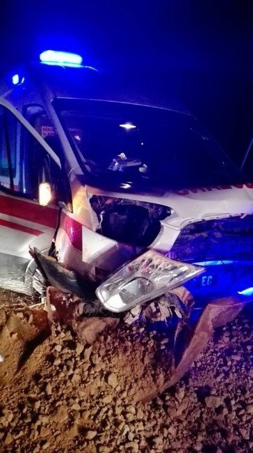 Ambulans Toprak Birikimine Çarptı: 3 Yaralı