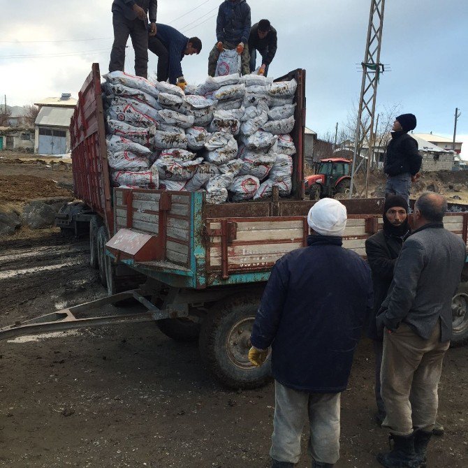 Malazgirt’e Kömür Dağıtımı