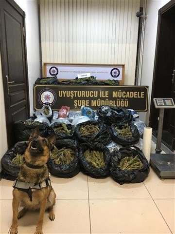 Mersin’de 172 Kilo Esrar Ele Geçirildi