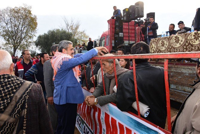 Nazilli’de Develer Şehit Aileleri Yararına Güreşti