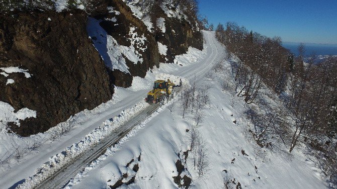 Trabzon’da Karla Mücadele Çalışmaları