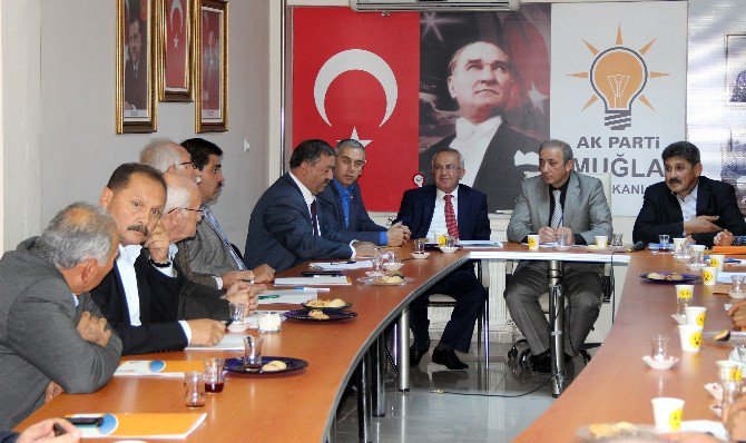 Ak Parti ‘Üreten Muğla’ Projesi Tamamlandı