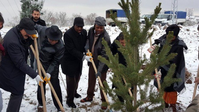 Afrika Ülkelerinin Büyükelçileri Keçiören’de Ağaç Dikti