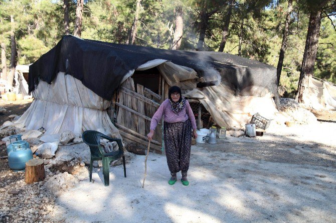 Yaşlı Çiftin Çadırdan Bozma Baraka Eziyeti Son Buldu