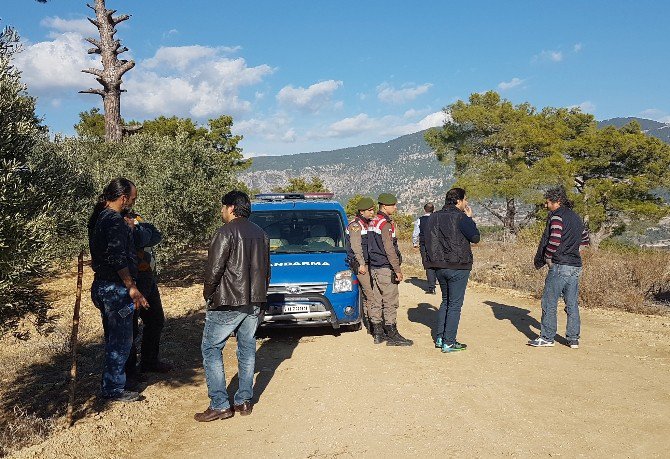 Kayıp Genç İçin Afad, Polis Ve Jandarma Alarma Geçti