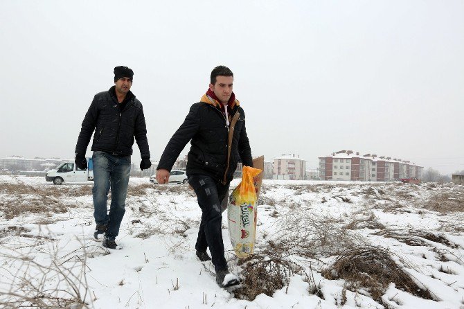 Bolu’da Sokak Hayvanları İçin Mama Bırakıldı