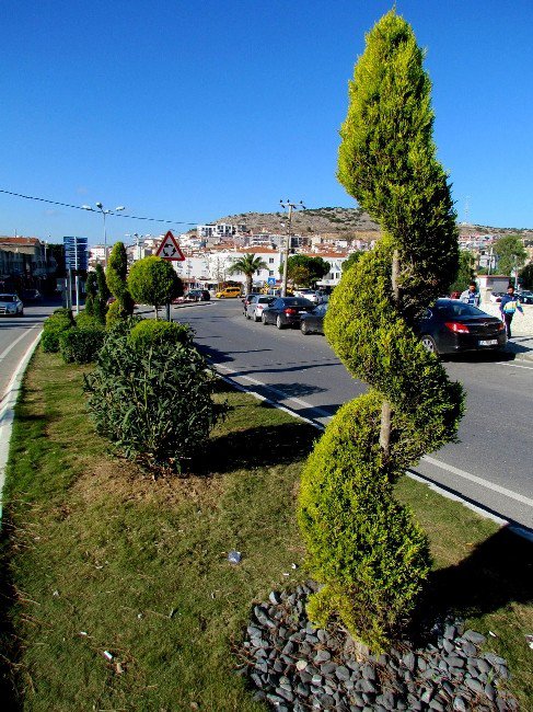 Çeşme’de Ağaçlandırmaya Hız Verildi