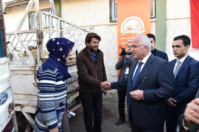 Vali Tuna: “Şanlıurfa Hayvancılıkla Da Öne Çıkacak”