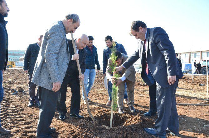 Mühendis Adayları Ağaç Dikti