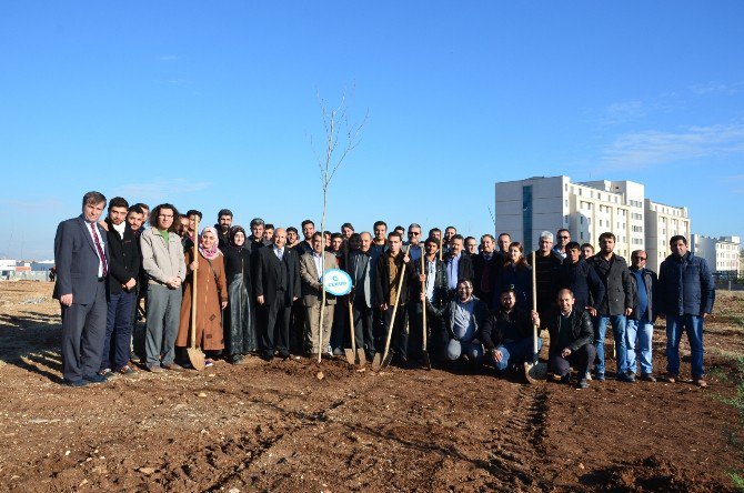 Mühendis Adayları Ağaç Dikti