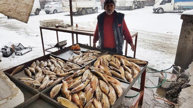 Murat Balığı Tezgahtaki Yerini Aldı