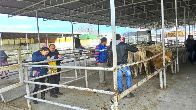 Genç Çiftçiler İşletmelerine Kavuştular